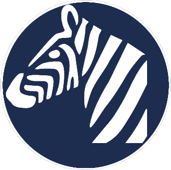 DNS Management Control Panel